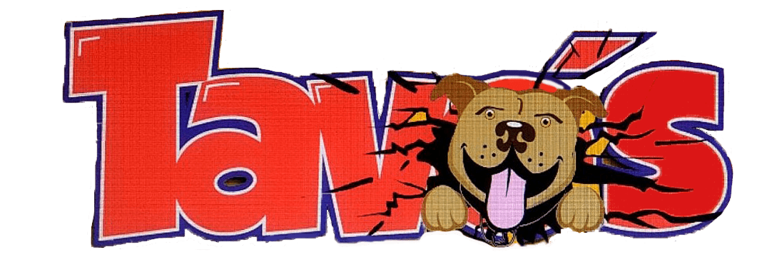 Logo de Fundación Tavos